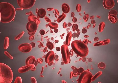 Hematology