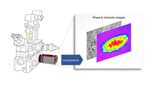 Implementation on any optical microscope