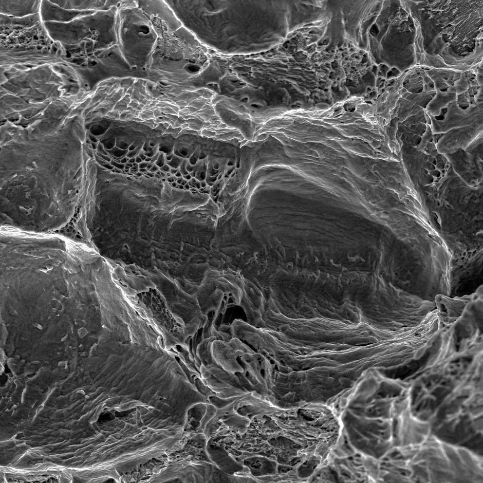 Exosens Analytical SEM/STEM