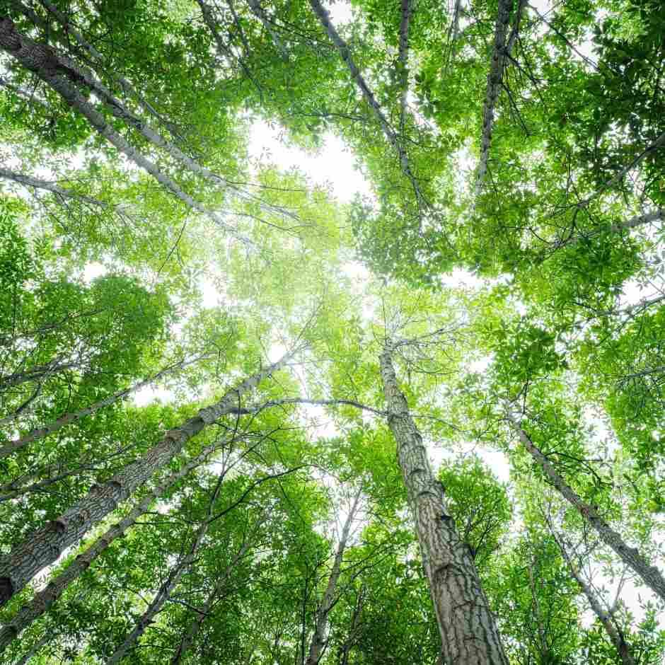 ENHANCING OUR ENVIRONMENTAL RESPONSIBILITY