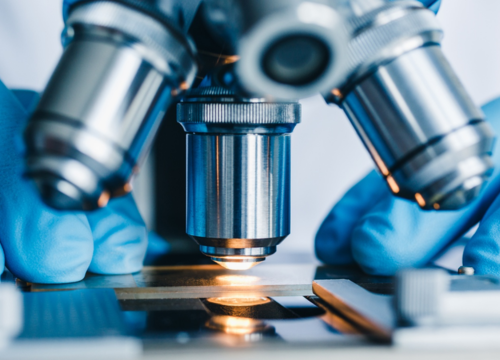 Advancing Ocular Surface Research with Quantitative Phase Imaging