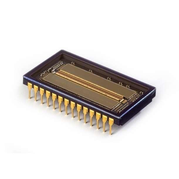 SWIR InGaAs Sensors