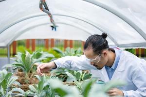 Agriculture observation