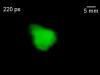 Experimentally imaged laser pulse propagation